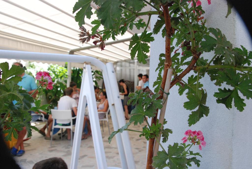 Hotel Cristall San Benedetto del Tronto Exterior photo